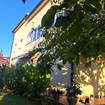 Bozica House With Apartments Murine Buitenkant foto