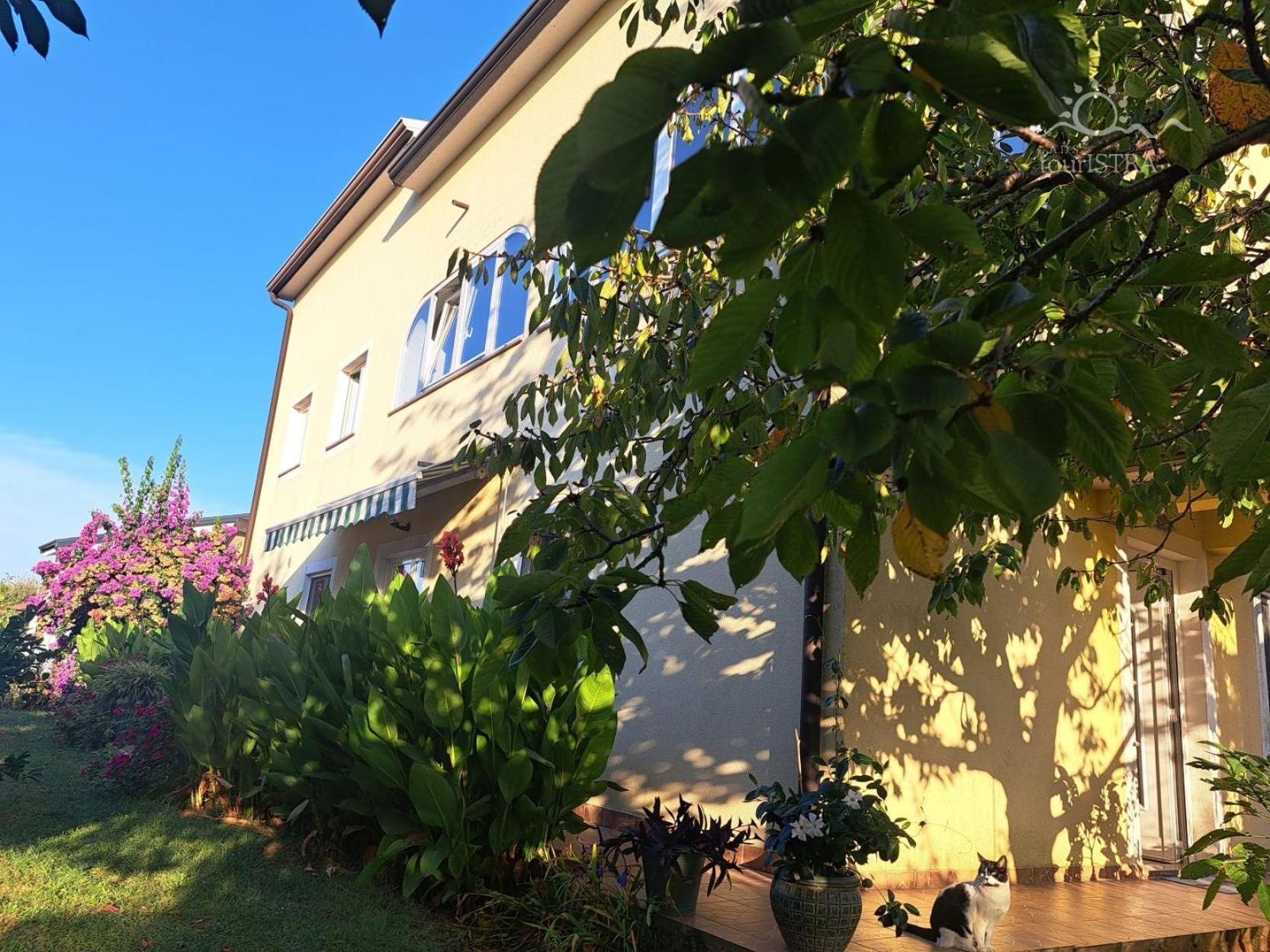 Bozica House With Apartments Murine Buitenkant foto